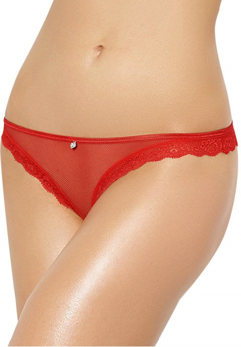 Plus Size Black Fishnet & Lace Panty